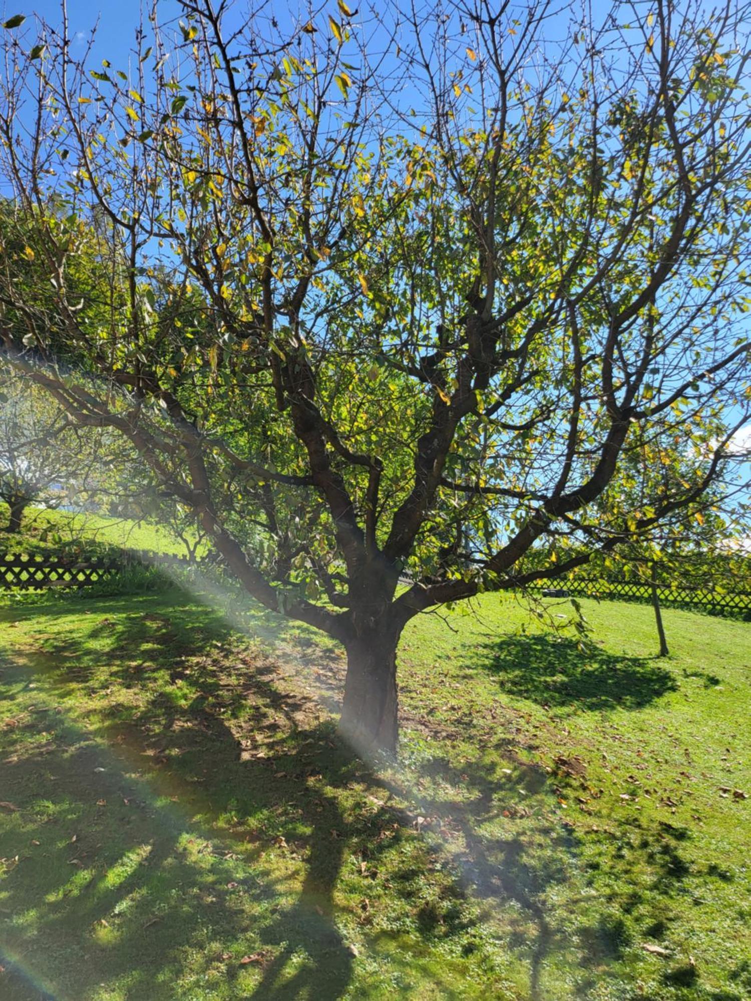 Ferienhaus Zangl Am Seggauberg - Suedsteiermark Лейбниц Экстерьер фото