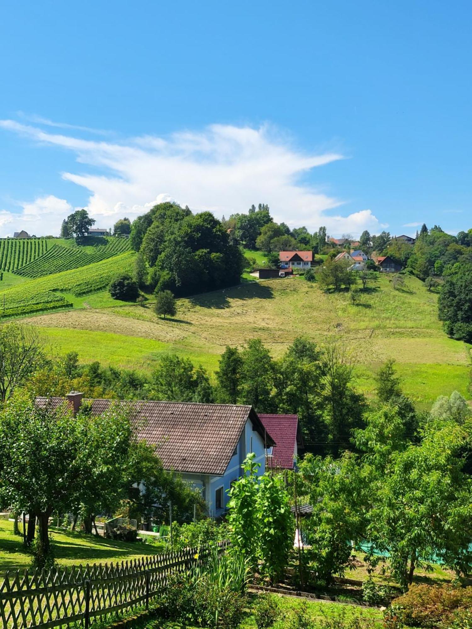 Ferienhaus Zangl Am Seggauberg - Suedsteiermark Лейбниц Экстерьер фото