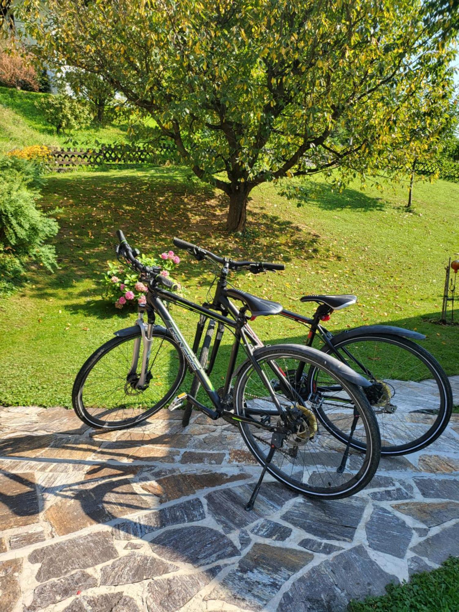 Ferienhaus Zangl Am Seggauberg - Suedsteiermark Лейбниц Экстерьер фото